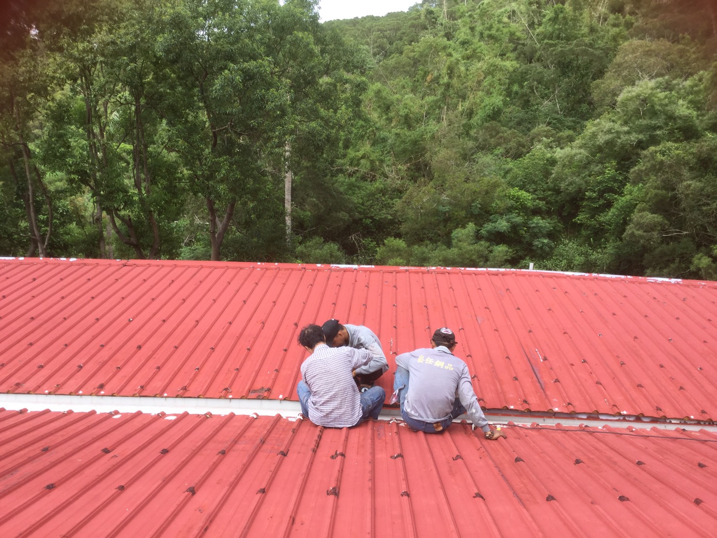 鐵皮屋修繕